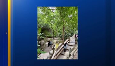 Fresno Chaffee Zoo's Tropical Rainforest Aviary closing after nearly 40 years