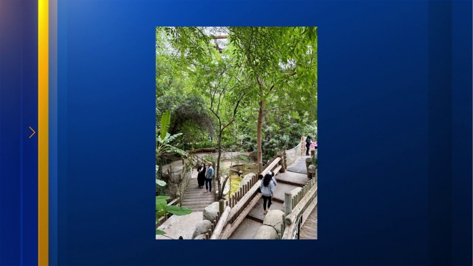 Fresno Chaffee Zoo's Tropical Rainforest Aviary closing after nearly 40 years