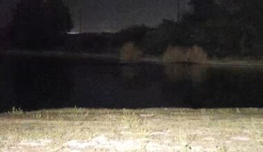 Man pulled from pond in southwest Fresno, officials say