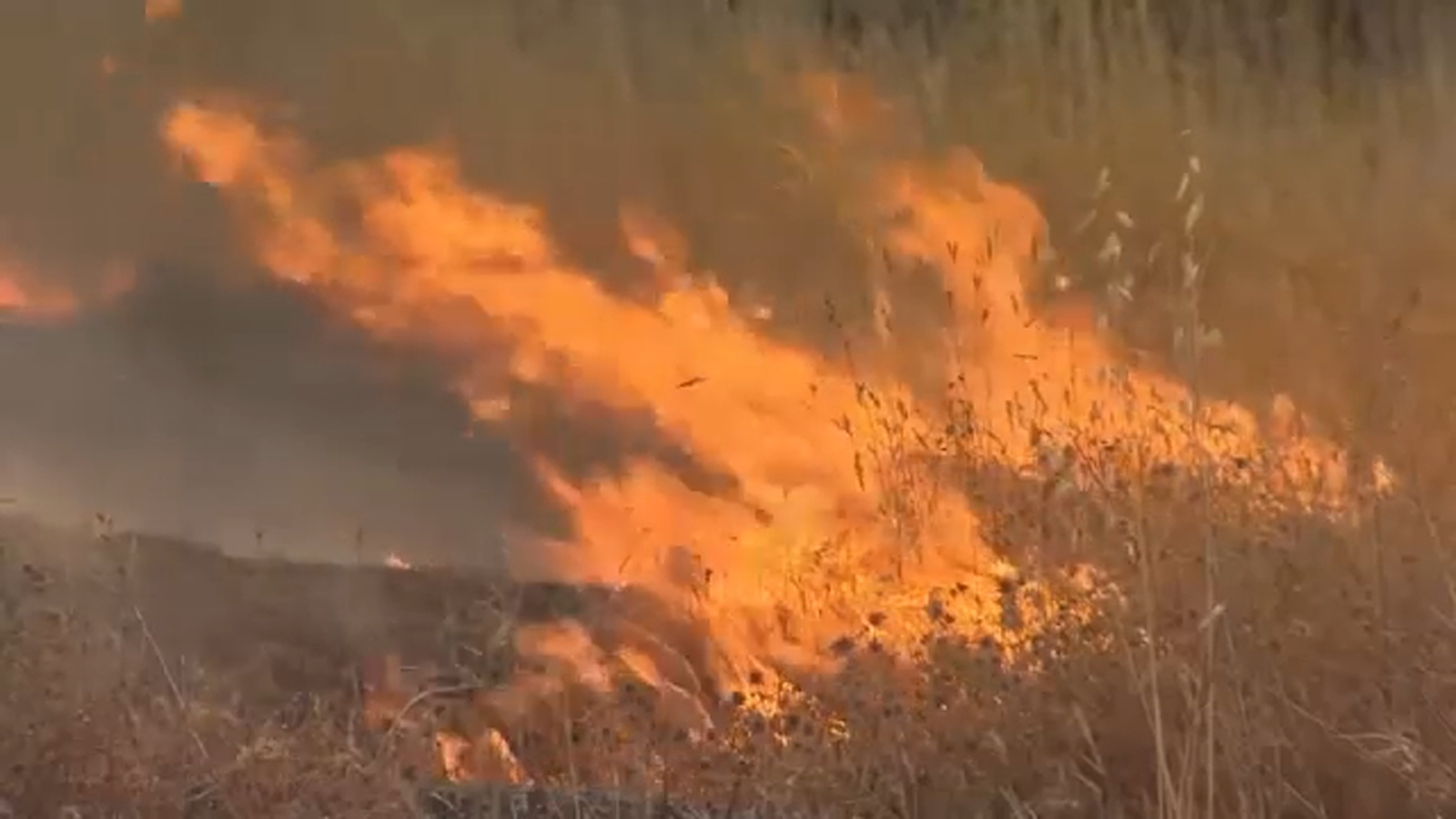 Red flag warning: Central California fire risk rises as fire weather warning prompts prevention efforts