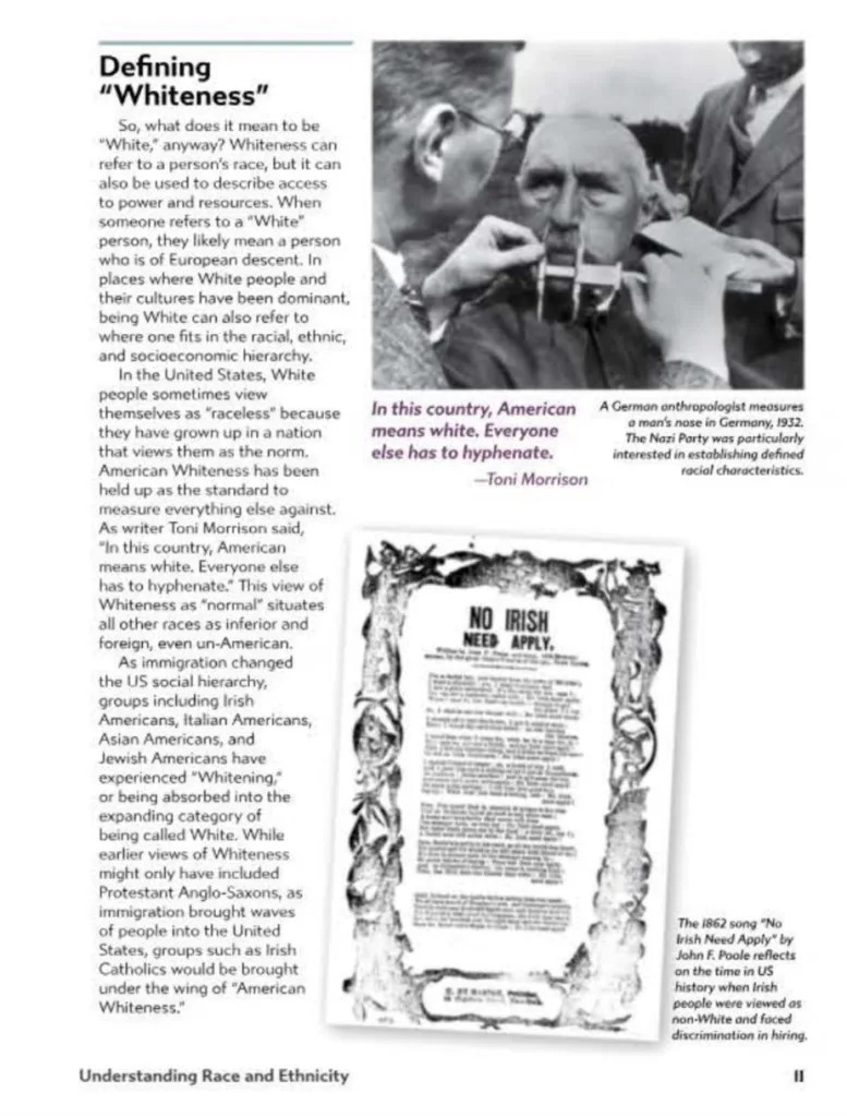 Voices’ “Defining Whiteness” section. Friends of Lowell Foundation