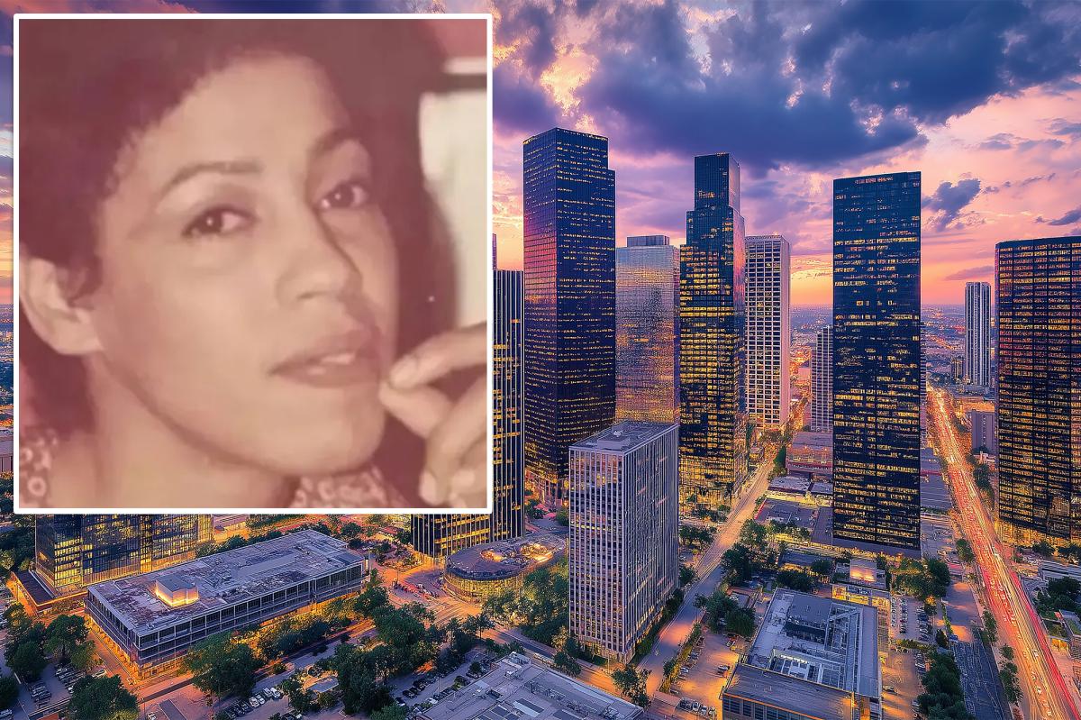 Missing persons cold case cracked after remains of San Francisco woman found in Texas ID'd as Cheryl Lanier
