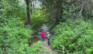 Historic Sausal Creek watershed in Oakland thrives as nonprofit marks 30th year of restoration effort
