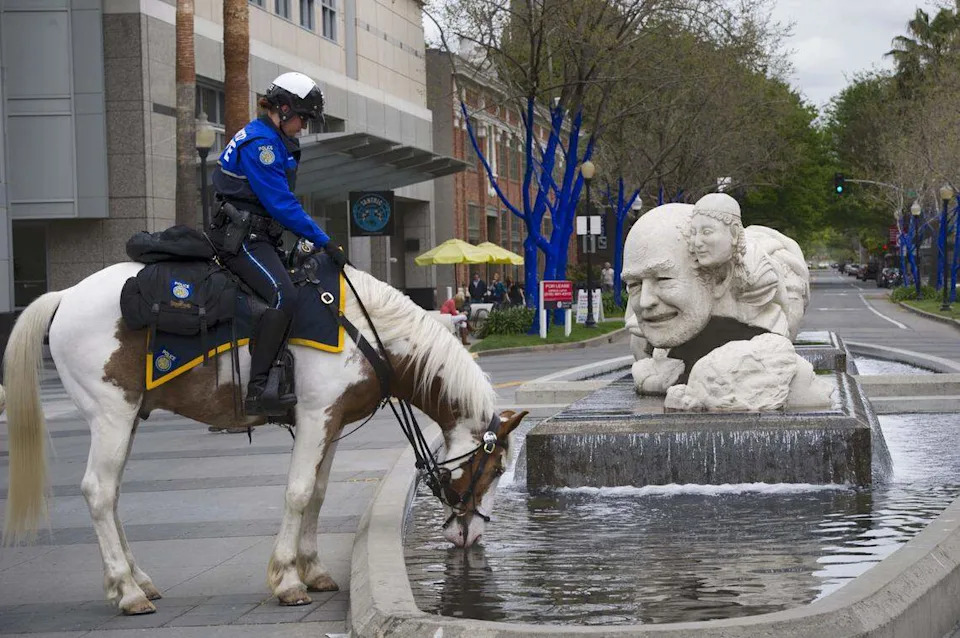 Sacramento Police Department mounted unit officer Kate McLoughlin lets her partner Patrick get a drink in a fountain while on patrol at 13th and K streets in downtown Sacramento in 2013.