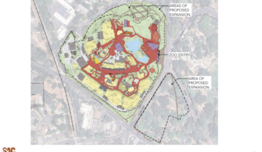 Sacramento Zoo releases concept drawings for Land Park expansion proposal