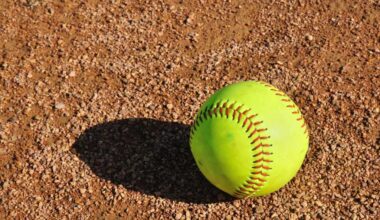Softball 2026 district pairings for Oakland County teams – The Oakland Press