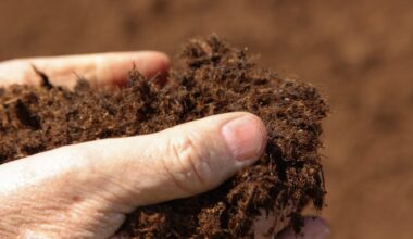Oakland launches first free compost hub, giving residents unlimited compost access