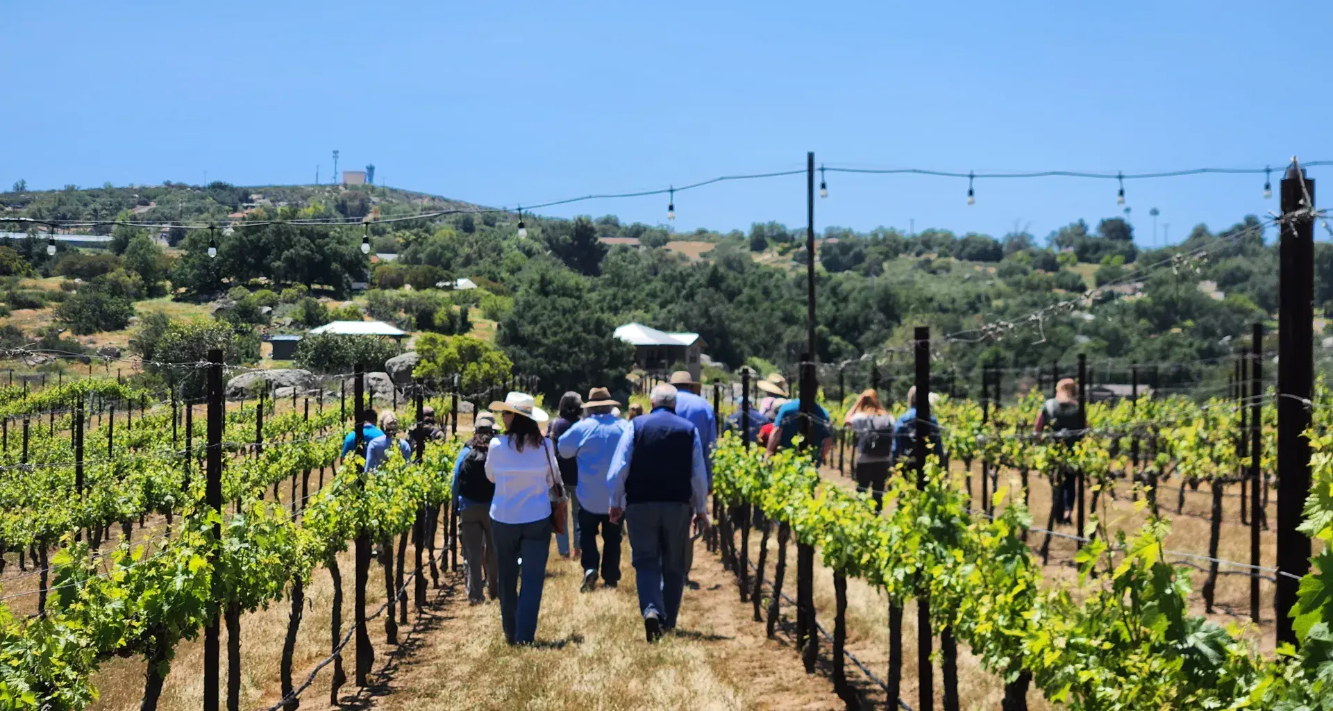 Registration Open for 2026 California Agritourism Summit Sept. 23-25