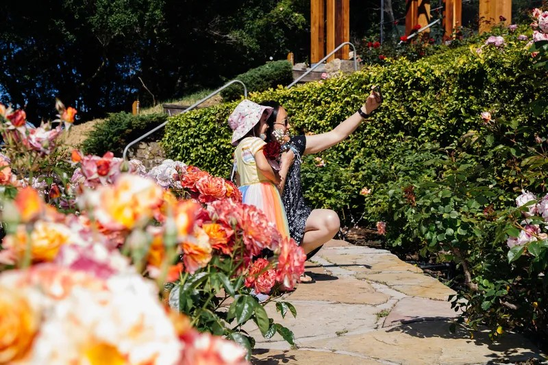 Mother's Day, Chinese painting class, art and plant sale