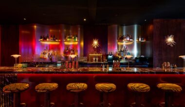 West Hollywood’s First Glam Karaoke Destination Is Backed by a Rock Star