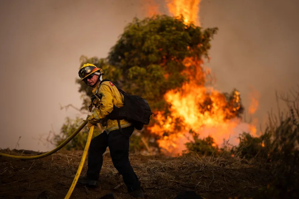 Sandy Fire