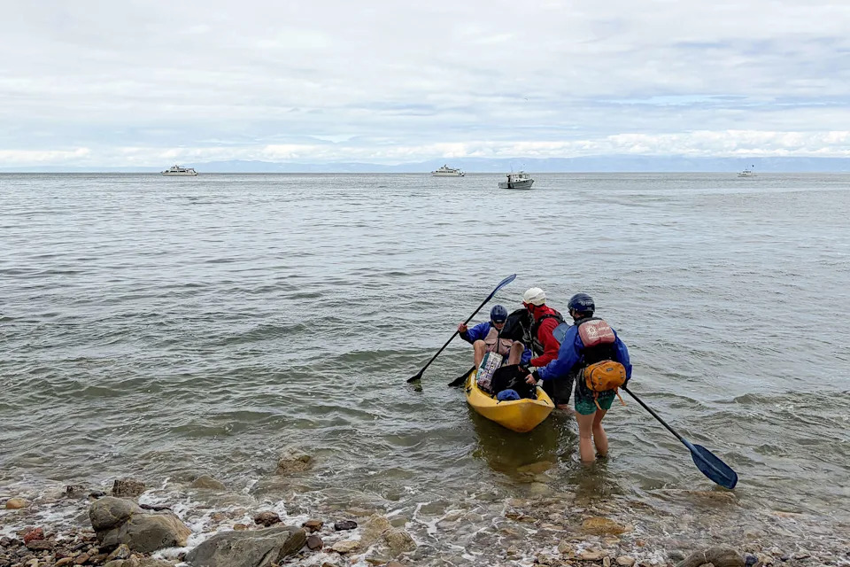 Volunteers scoured a remote beach, located on California's Santa Cruz Island in Channel Islands National Park, for trash on May 4, 2026. (Erin Rode/SFGATE)