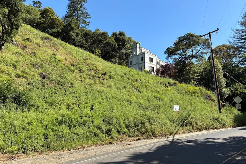 A Bay area couple has been hit with a whopping fine of nearly $1 million dollars after removing trees from the property they owned. AP