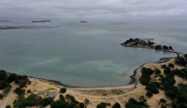Large lot in San Francisco sells for just $250