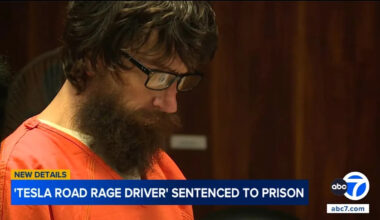 California's Infamous "Tesla Road Rage Driver" Is Going to Prison in Hawaii After Attacking a Mother and Daughter