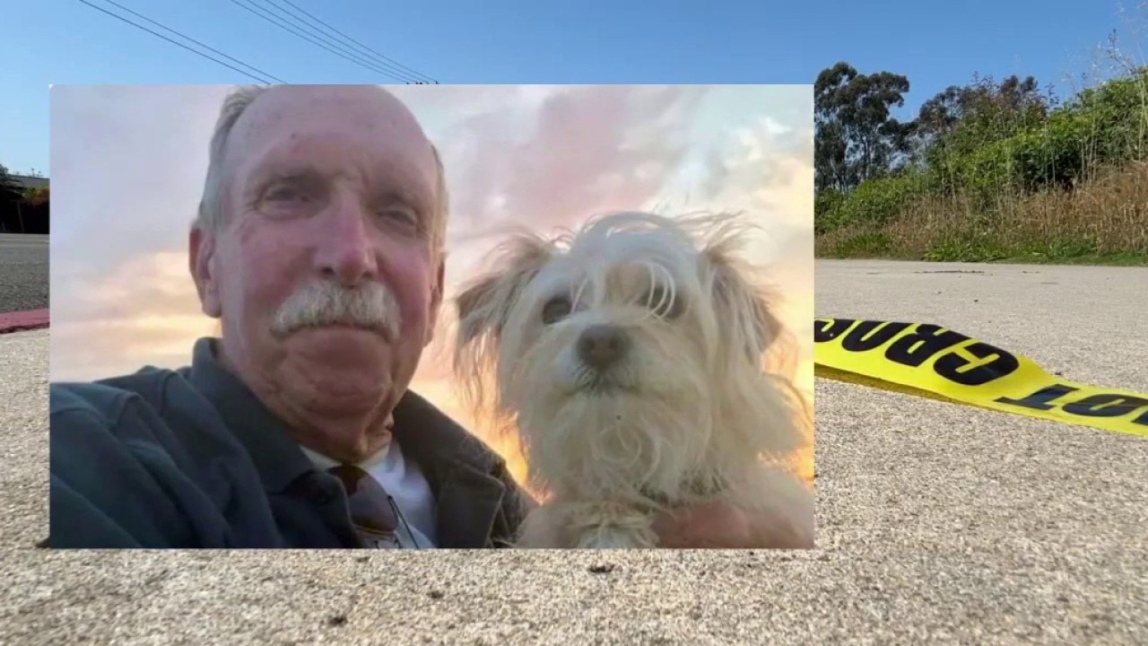 PREVIOUS COVERAGE: E-motorcycle rider leaves veteran critically hurt