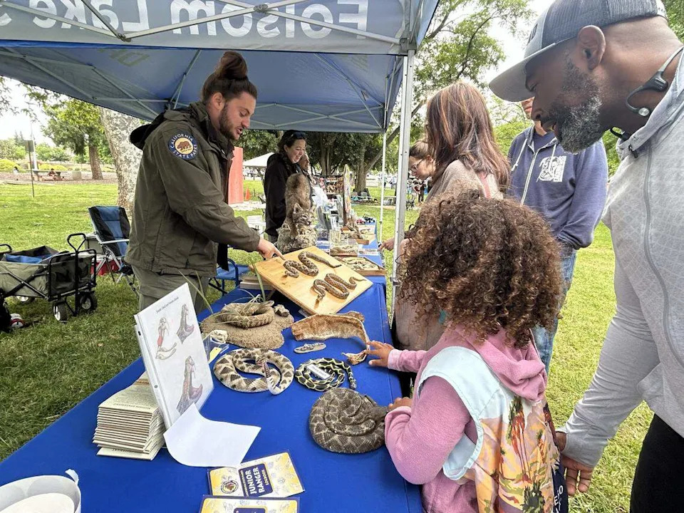 California State Park worker teaches attendees of SnakeFest different snake patterns. SnakeFest, in Hagan Community Park in Rancho Cordova, is an annual festival to celebrates California’s snake population.