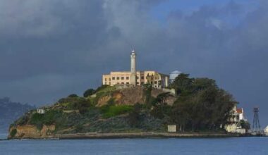 Coyote's epic swim to Alcatraz Island started much farther away than SF