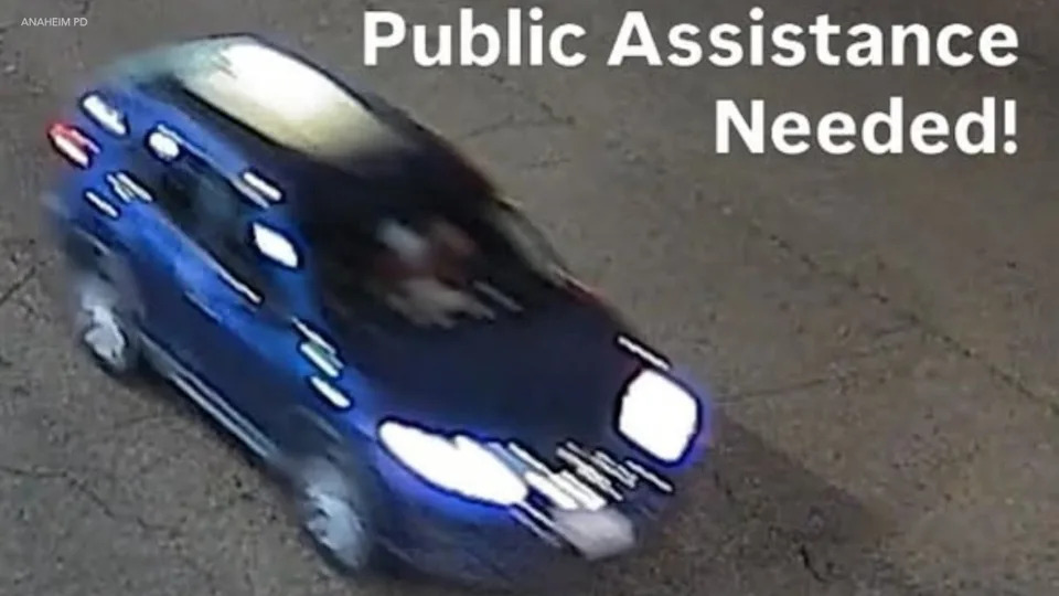 Anaheim hit-and-run suspect