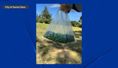 Suspicious pellets found at Santa Clara park – NBC Bay Area