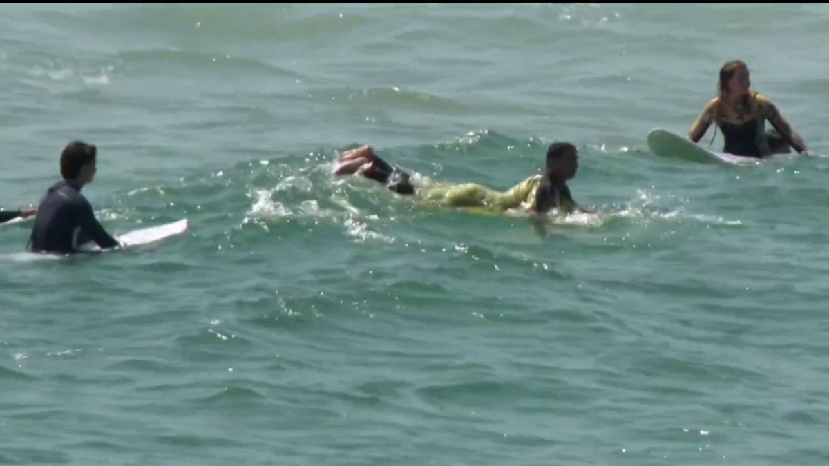 San Diego’s coast experiencing a marine heat wave, Scripps researchers find – NBC 7 San Diego