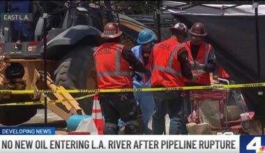 27 birds rescued from LA River after oil spill due to pipeline rupture – NBC Los Angeles