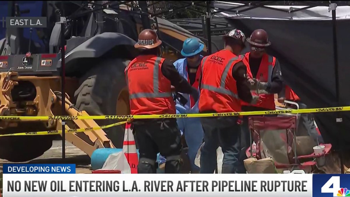 27 birds rescued from LA River after oil spill due to pipeline rupture – NBC Los Angeles