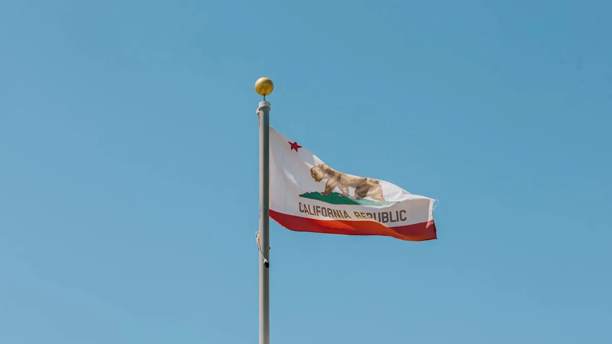 California Just Hit Drivers With 11,000 Speeding Tickets in 24 Hours, and 200 Could Lose Their Licenses Before Court