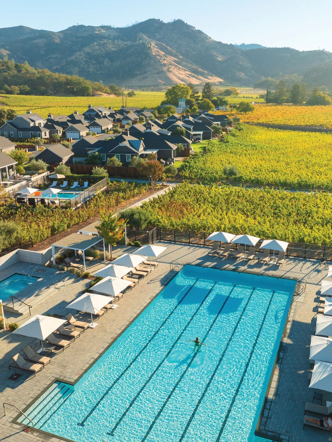 Guests at the Four Seasons Napa are immersed in a vineyard. COURTESY OF BRANDS