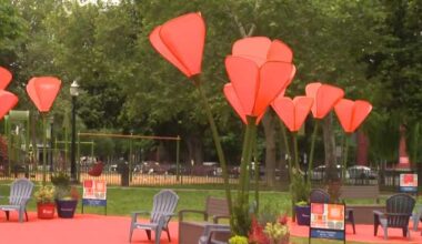 Fremont Park Bloom art installation appears in Sacramento