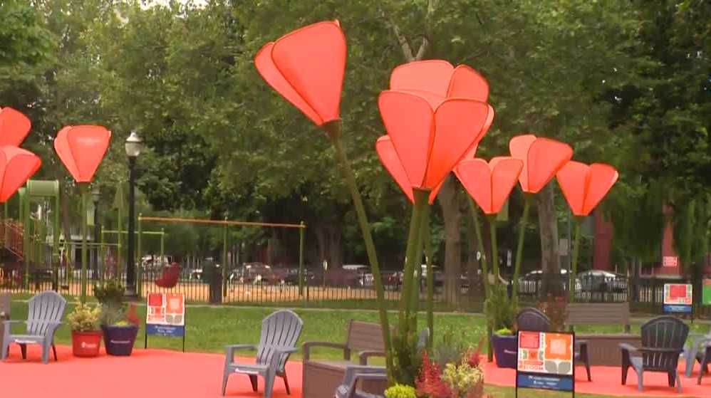 Fremont Park Bloom art installation appears in Sacramento