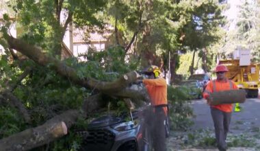 Sacramento crews work to clear downed trees and branches