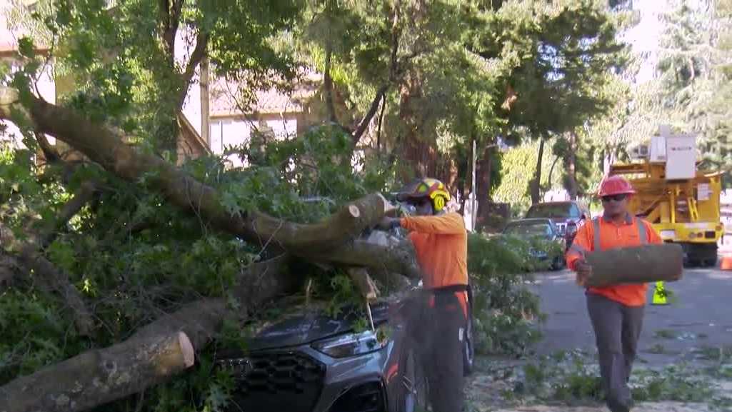 Sacramento crews work to clear downed trees and branches