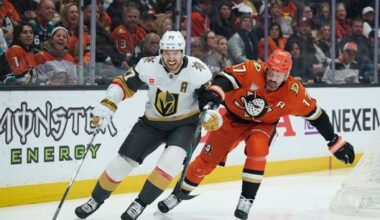 VGKnow Your Enemy: Anaheim Ducks