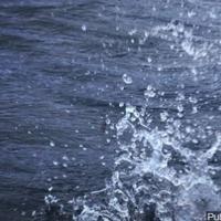 Nevada man drowns near Quincy, California | California News
