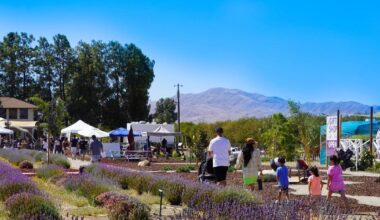 Datebook: What's happening in June | Entertainment