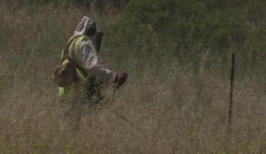 North Bay fire agencies prepare for elevated wildfire risk as winds pick up