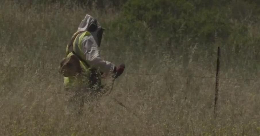 North Bay fire agencies prepare for elevated wildfire risk as winds pick up