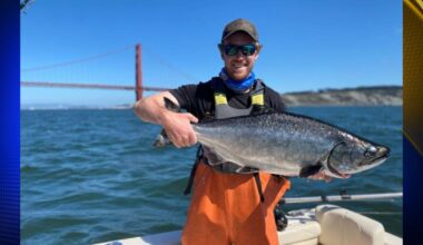 California king salmon returns to San Francisco markets after 3-year shutdown | News