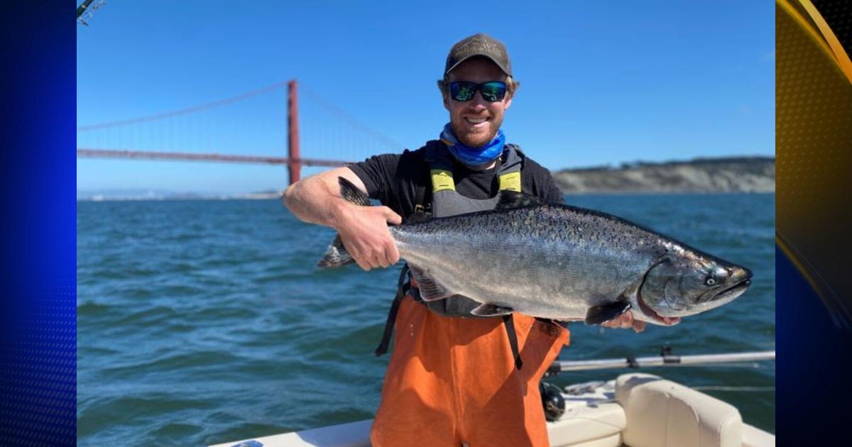 California king salmon returns to San Francisco markets after 3-year shutdown | News