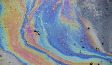 Oil Spill in East Los Angeles Injures Birds in LA River