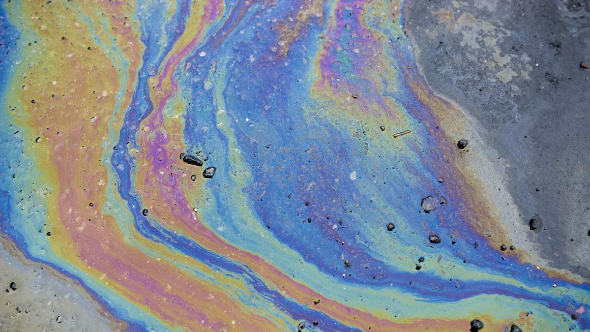 Oil Spill in East Los Angeles Injures Birds in LA River