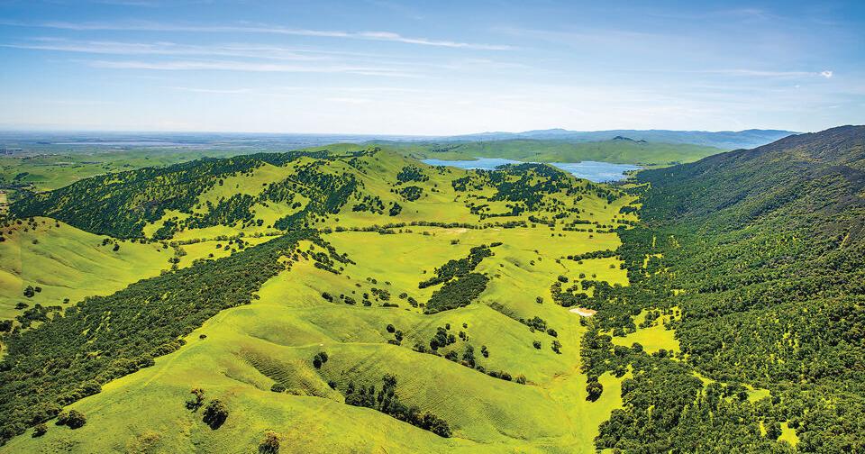 The Hit List: Must-See East Bay Events for May 2026 | People + Style