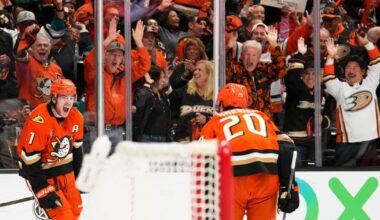 After 7 seasons without playoffs, Anaheim Ducks surge into 2nd round with a stellar series win | National Sports