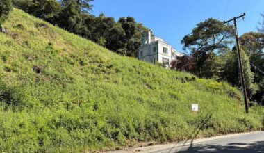 California landowners who cut 38 trees in Oakland hills hit with $915,000 fine | National News