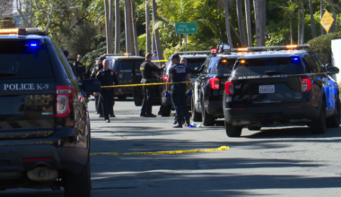 Man Pleads Guilty In SDPD Officer Hit-And-Run | Newsradio 600 KOGO