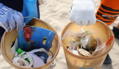 LA Coastal Cleanup Crew Faces Potential Elimination