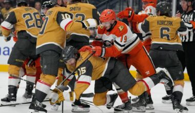 Ducks' Troy Terry needs hip surgery, might not be ready for start of next season | National Sports