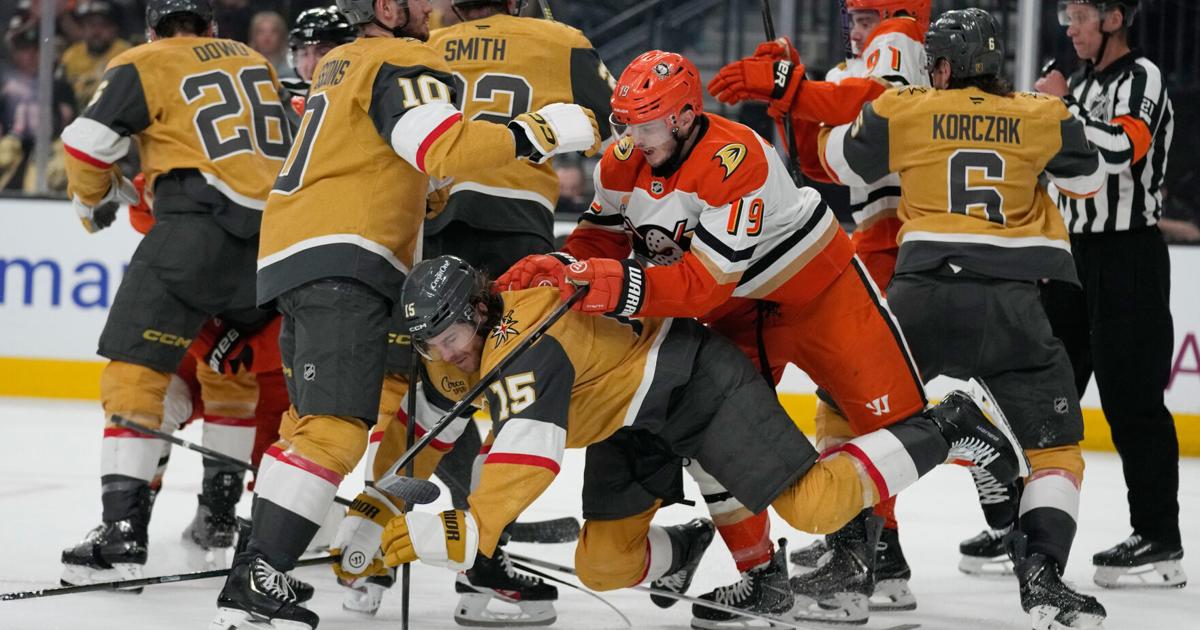 Ducks' Troy Terry needs hip surgery, might not be ready for start of next season | National Sports