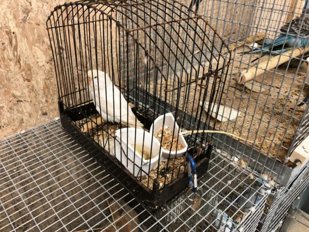 The longtime owner of the Animal Company, Rick French, said it would just be another terrible policy from the city that makes it harder for business owners to operate. Peta
